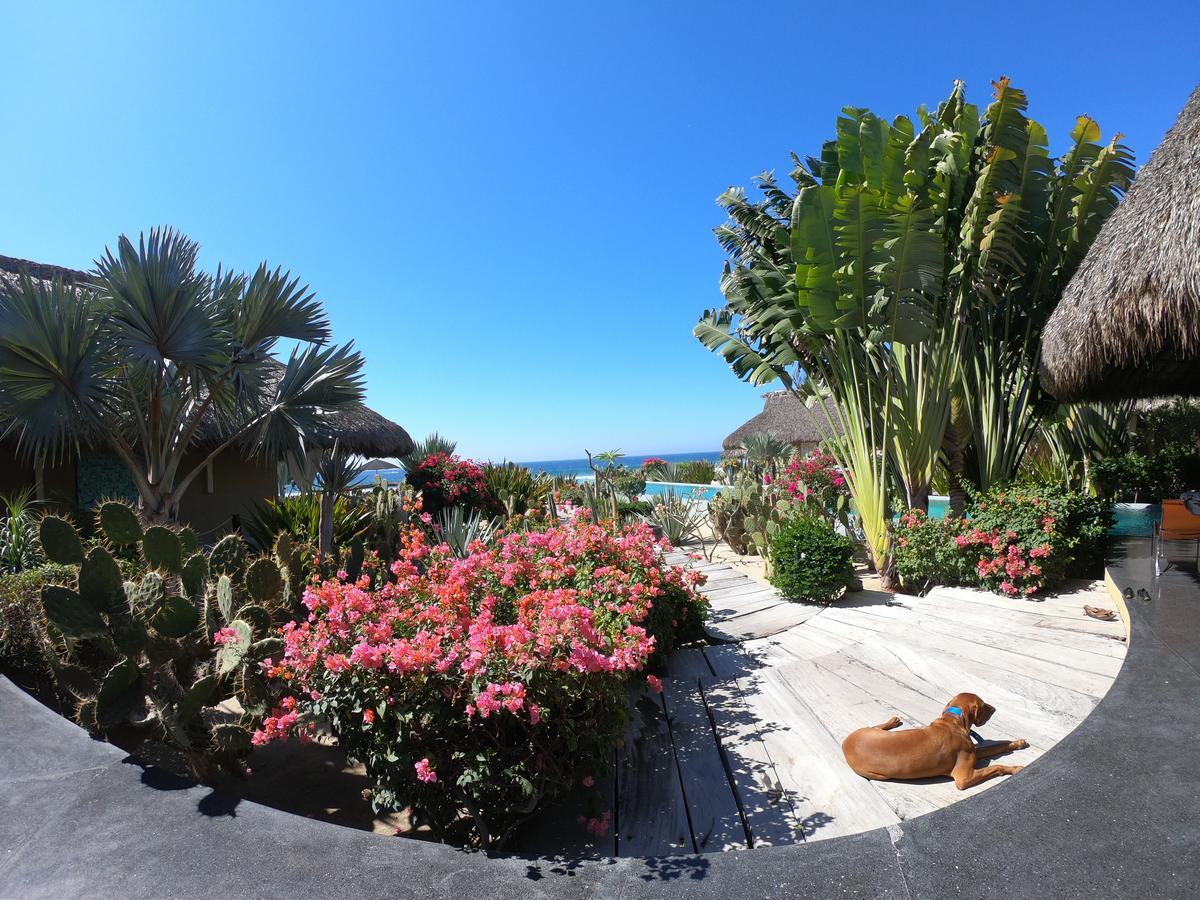 Samora Luxury Resort Santa María Colotepec 外观 照片