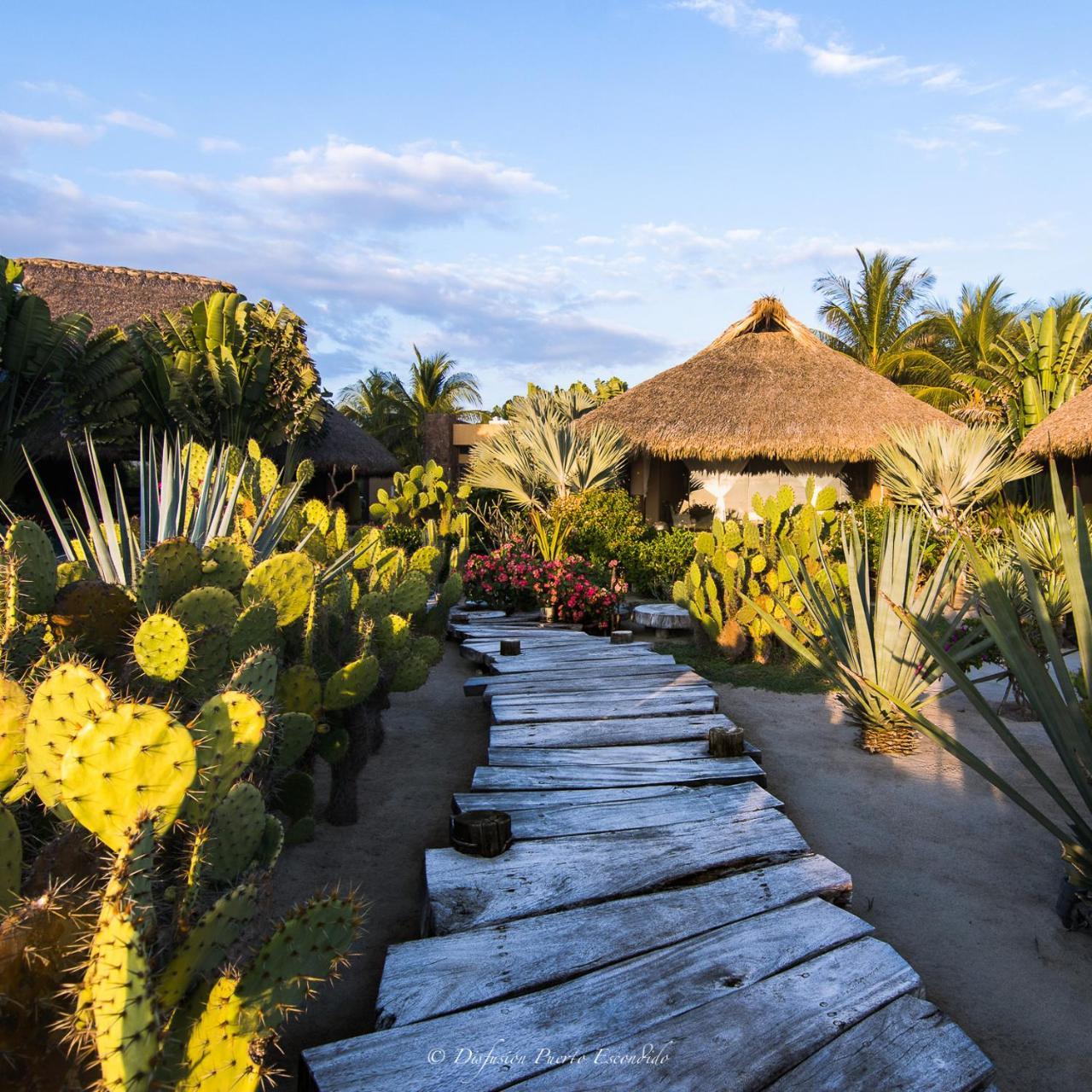 Samora Luxury Resort Santa María Colotepec 外观 照片